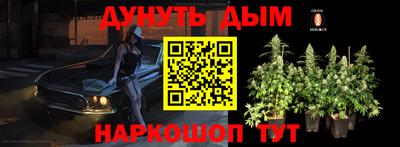 соль ск Лесосибирск