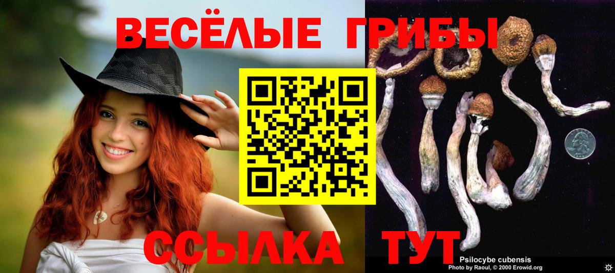 магазин    Псилоцибиновые грибы мухоморы  Вход с VPN  Дедовск  Псилоцибиновые грибы GOLDEN TEACHER 