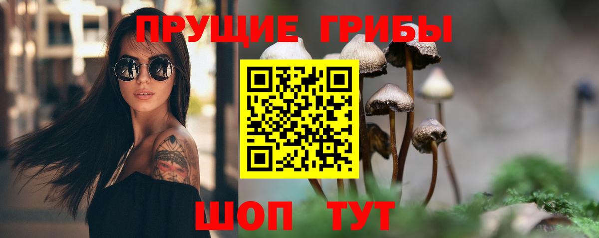 Псилоцибиновые грибы прущие грибы Дедовск
